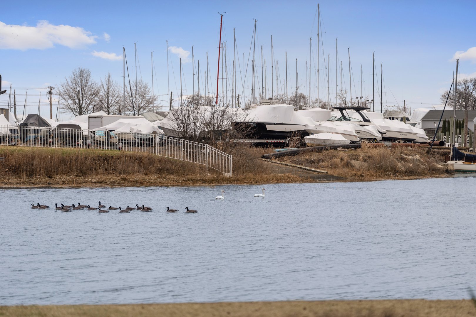 199 Gregory Boulevard  #C2 Photo 34