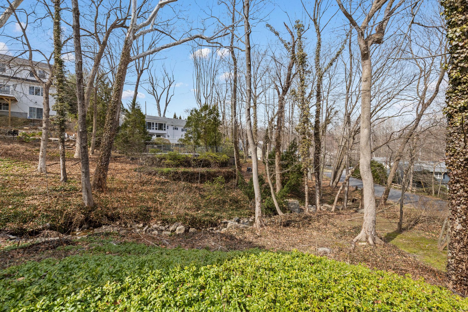 111 Spier Road Photo 34