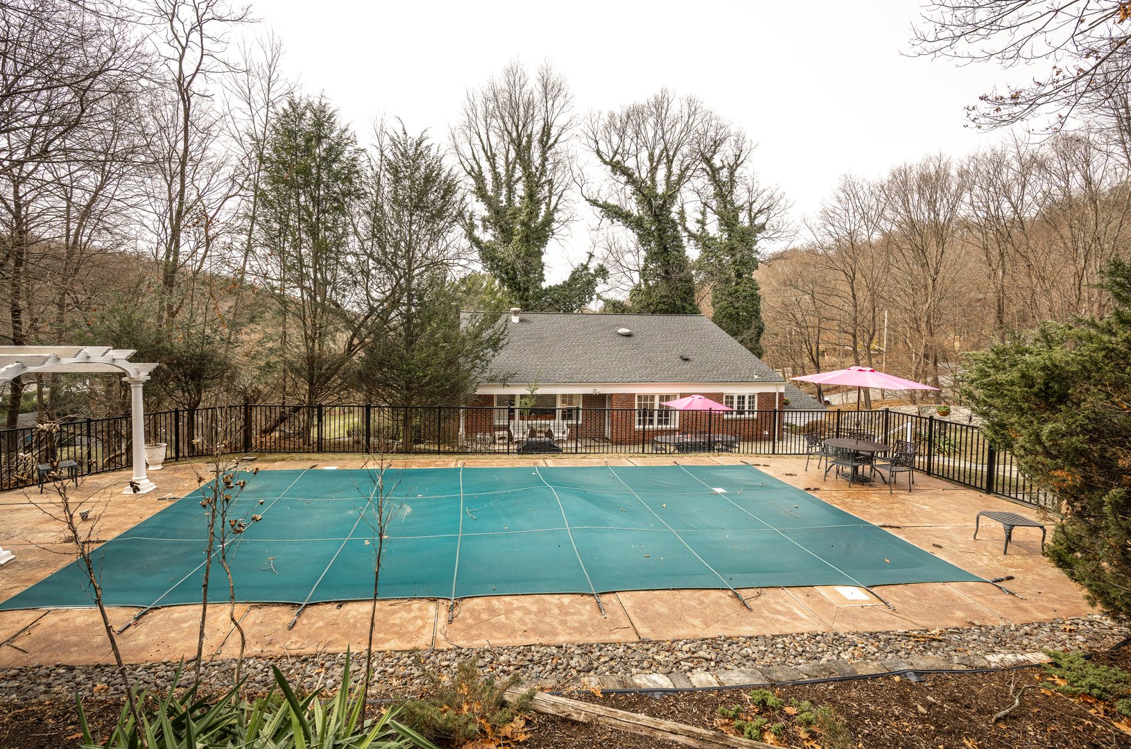 15 Stephenson Terrace Photo 34