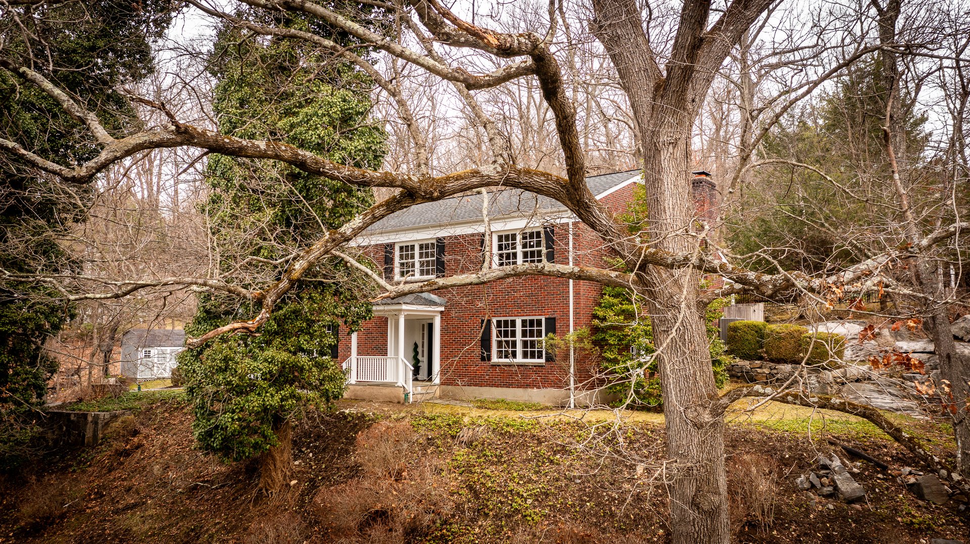 15 Stephenson Terrace Photo 5