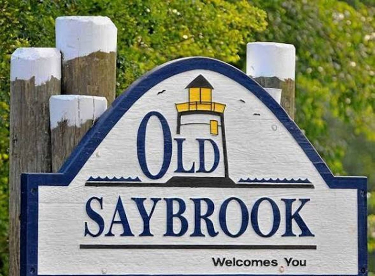 24 Cottage Place Photo 31