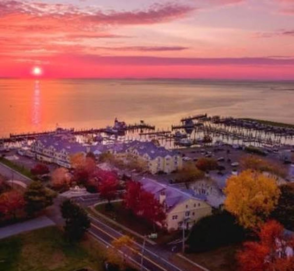 24 Cottage Place Photo 34