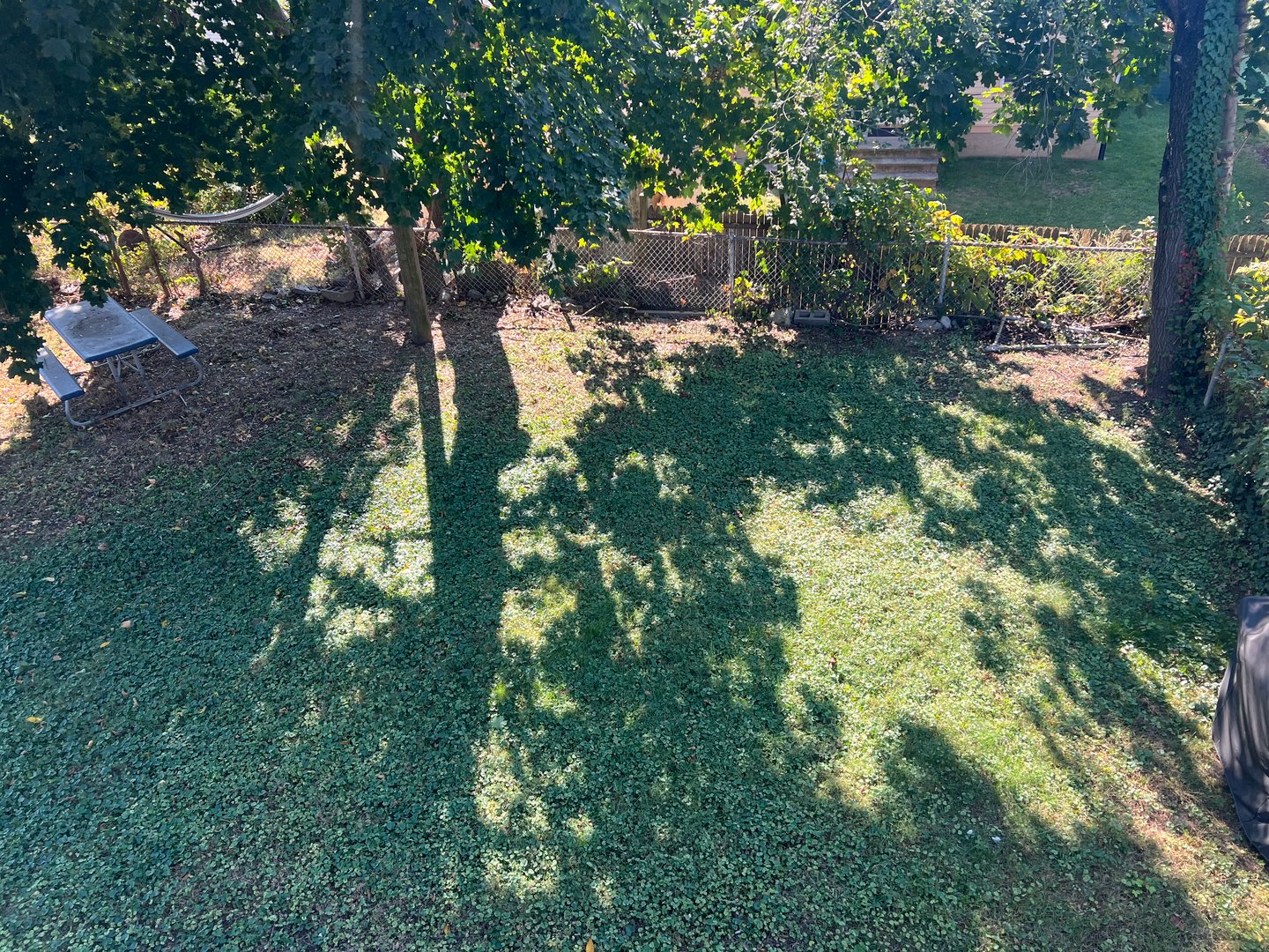 63 Churchill Street Photo 8