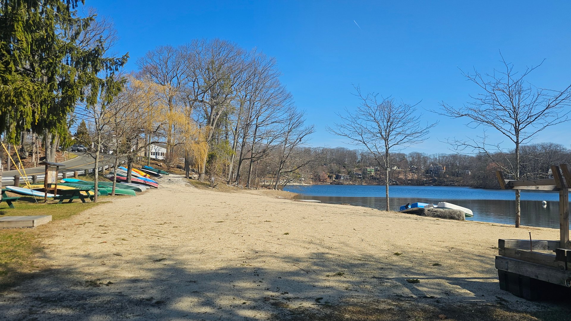 29 Carol Street Photo 35