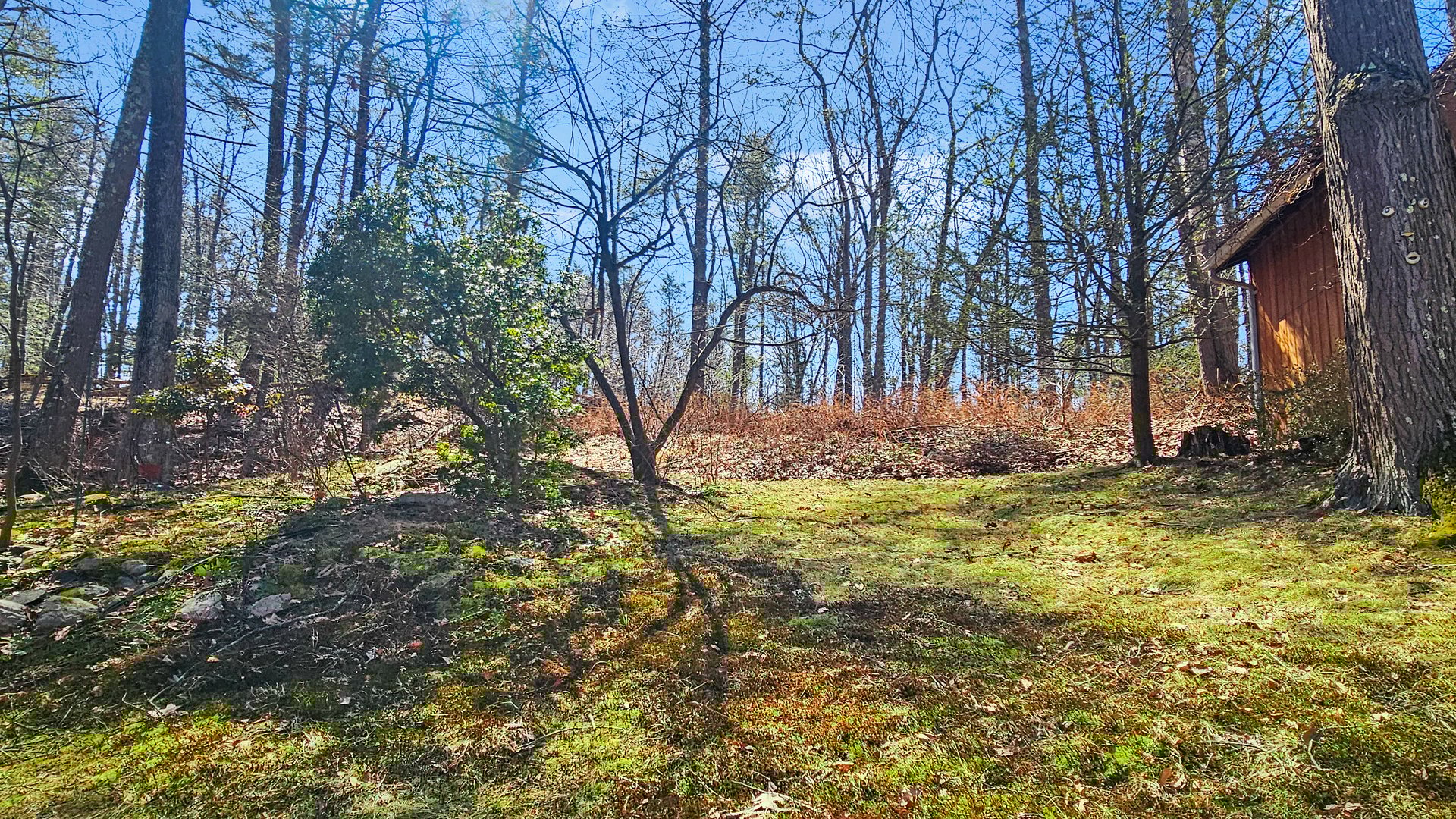 29 Carol Street Photo 31