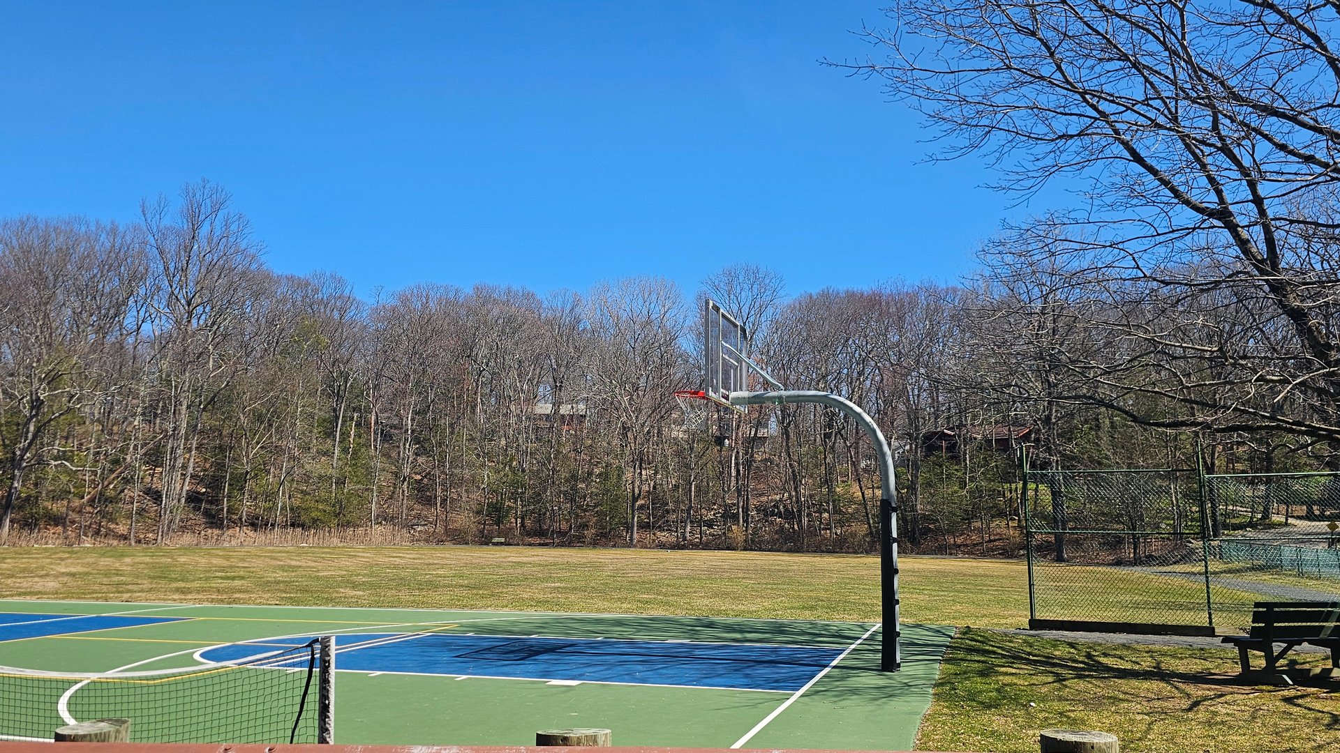 29 Carol Street Photo 39