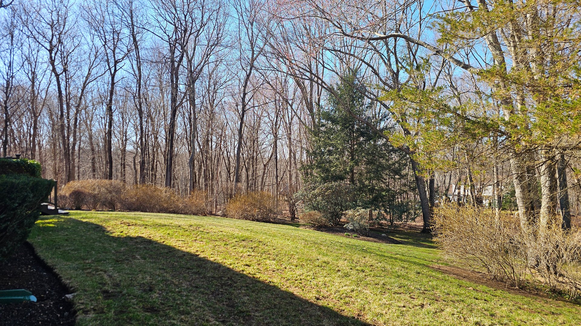 170 Boggs Hill Road Photo 31