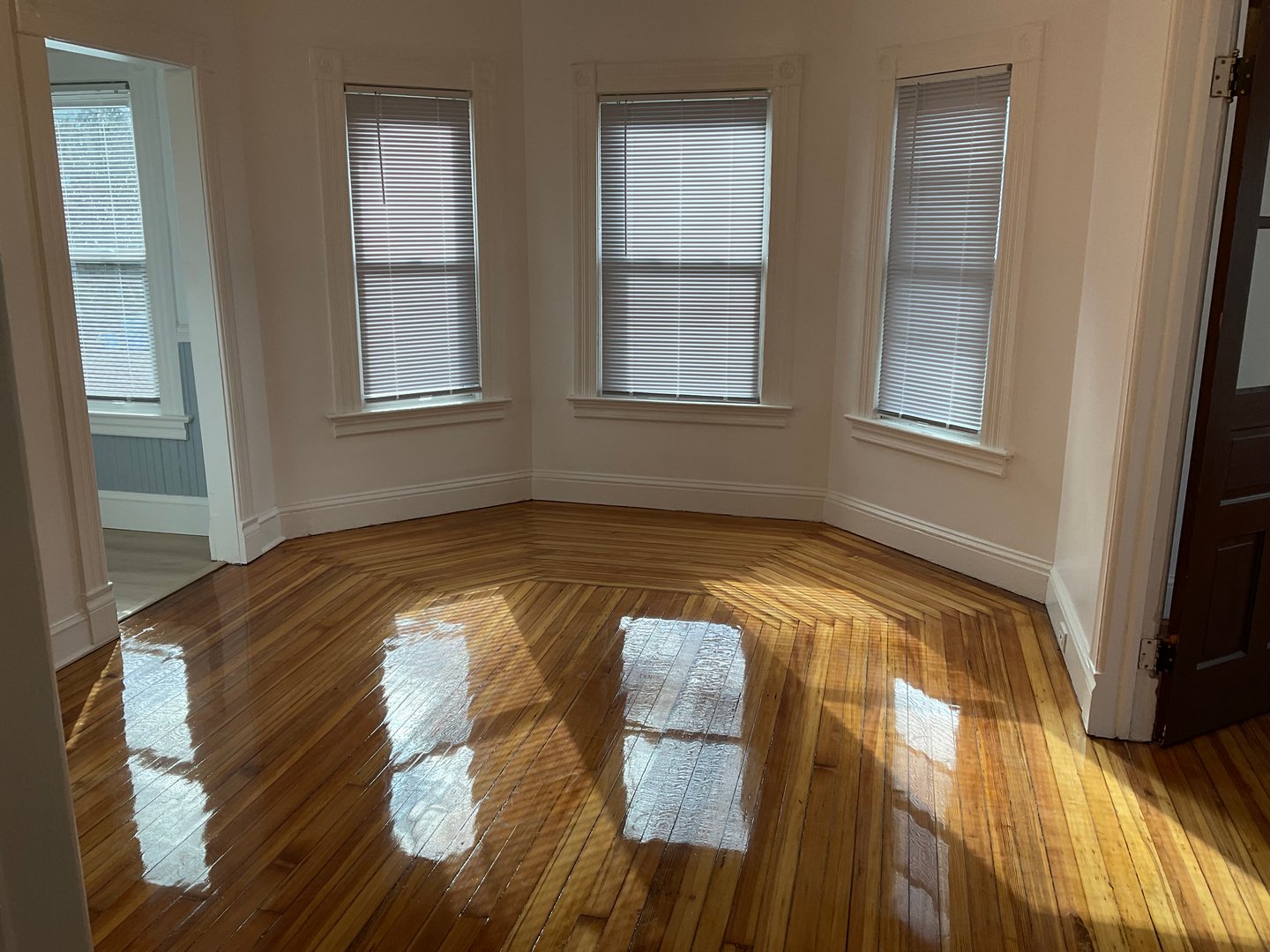 13 Alger Street  #2 Photo 6