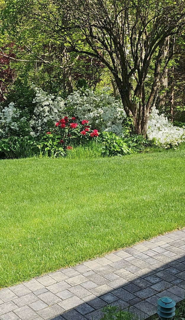 1800 Moose Hill Road Photo 5