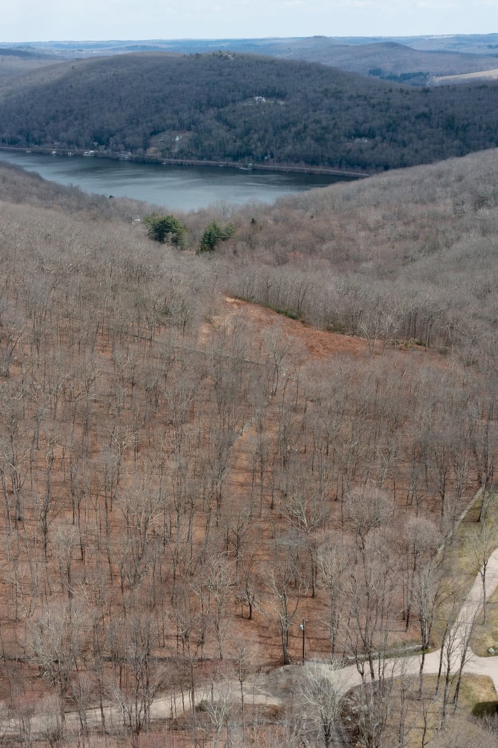 197 Tinker Hill Road Photo 3