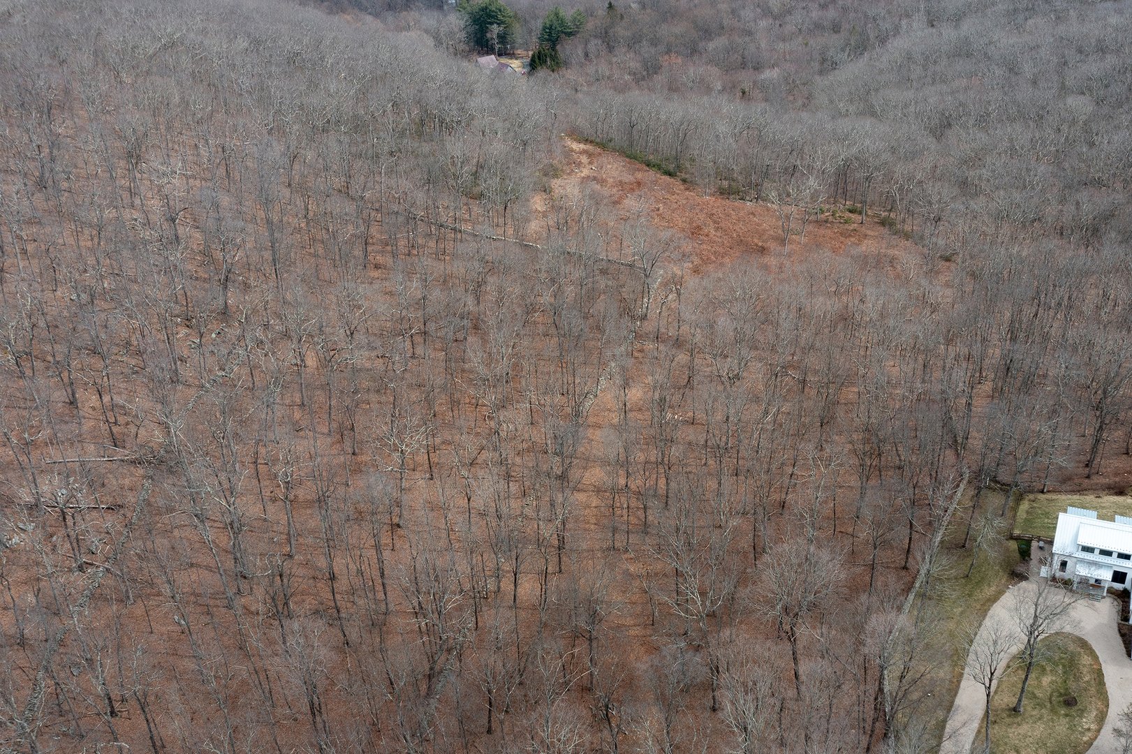 197 Tinker Hill Road Photo 4