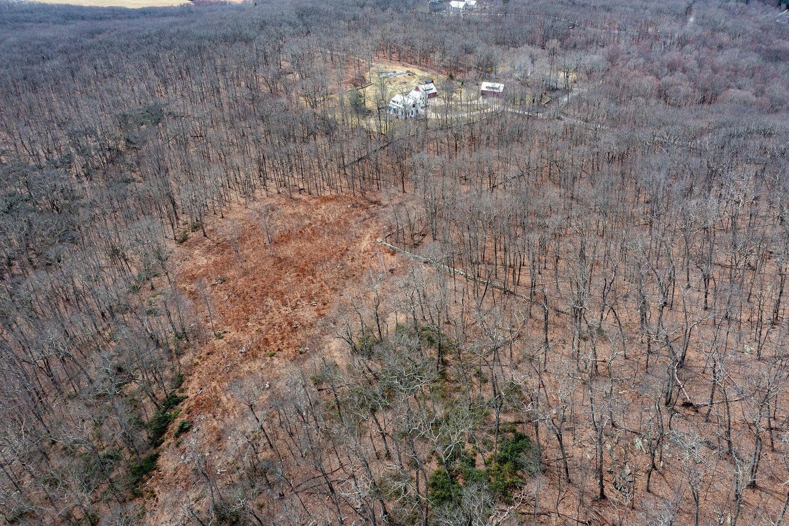 197 Tinker Hill Road Photo 11