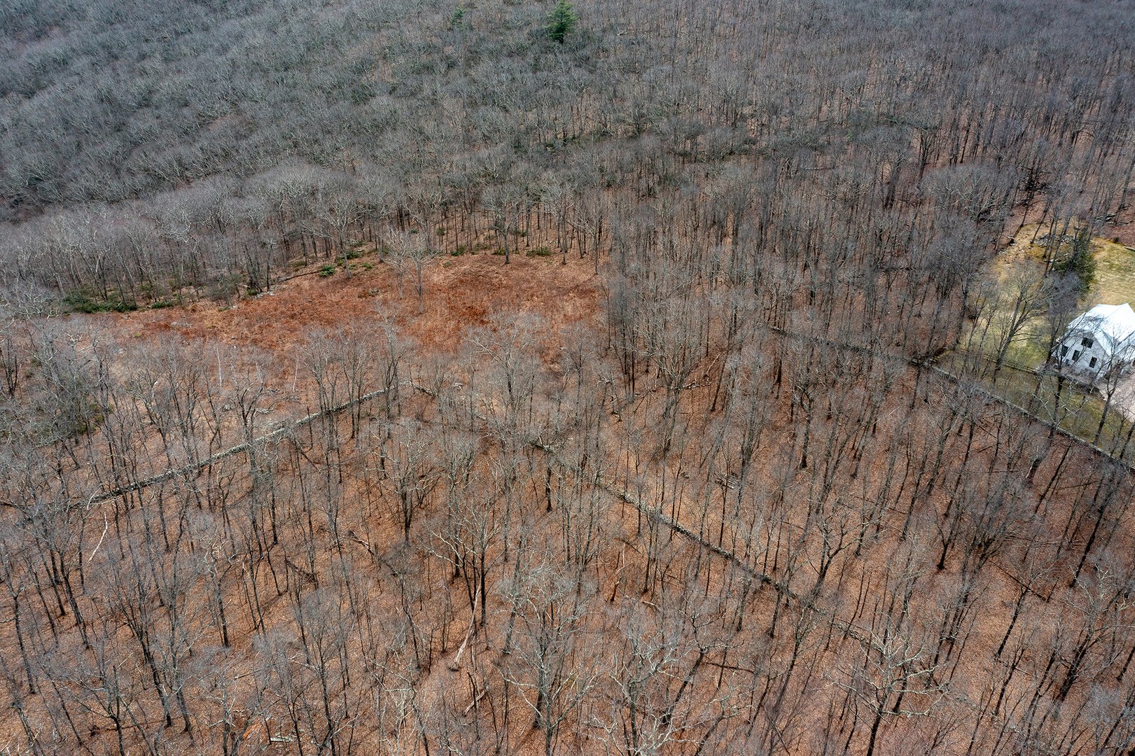 197 Tinker Hill Road Photo 12