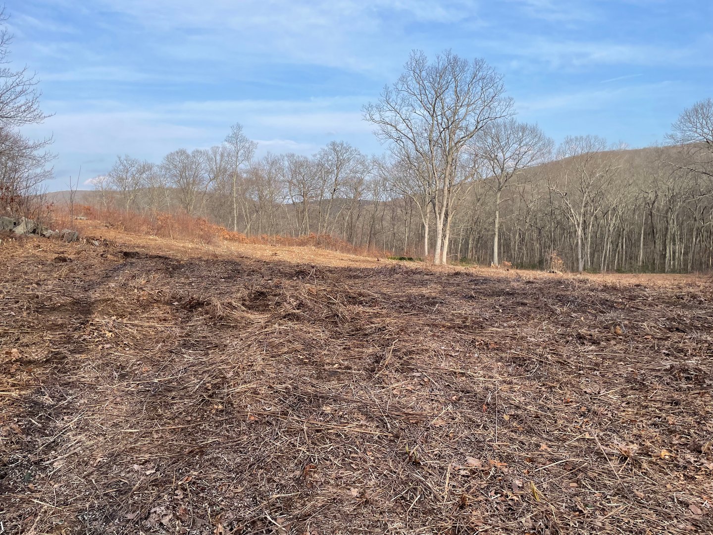 197 Tinker Hill Road Photo 17