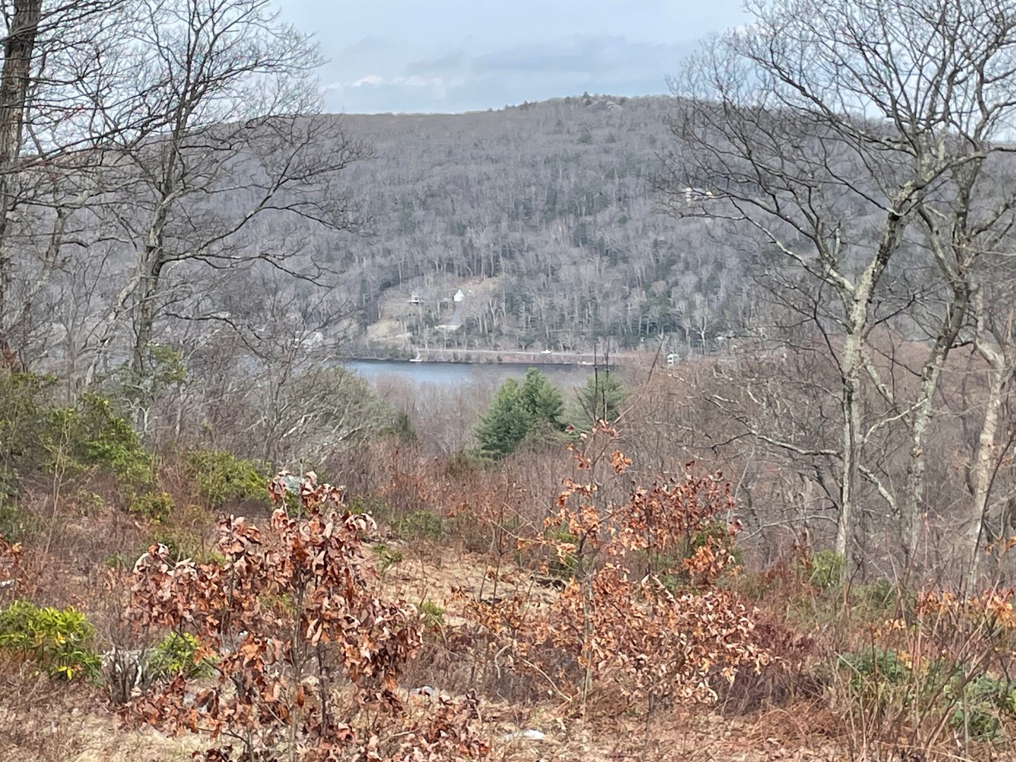 197 Tinker Hill Road Photo 19