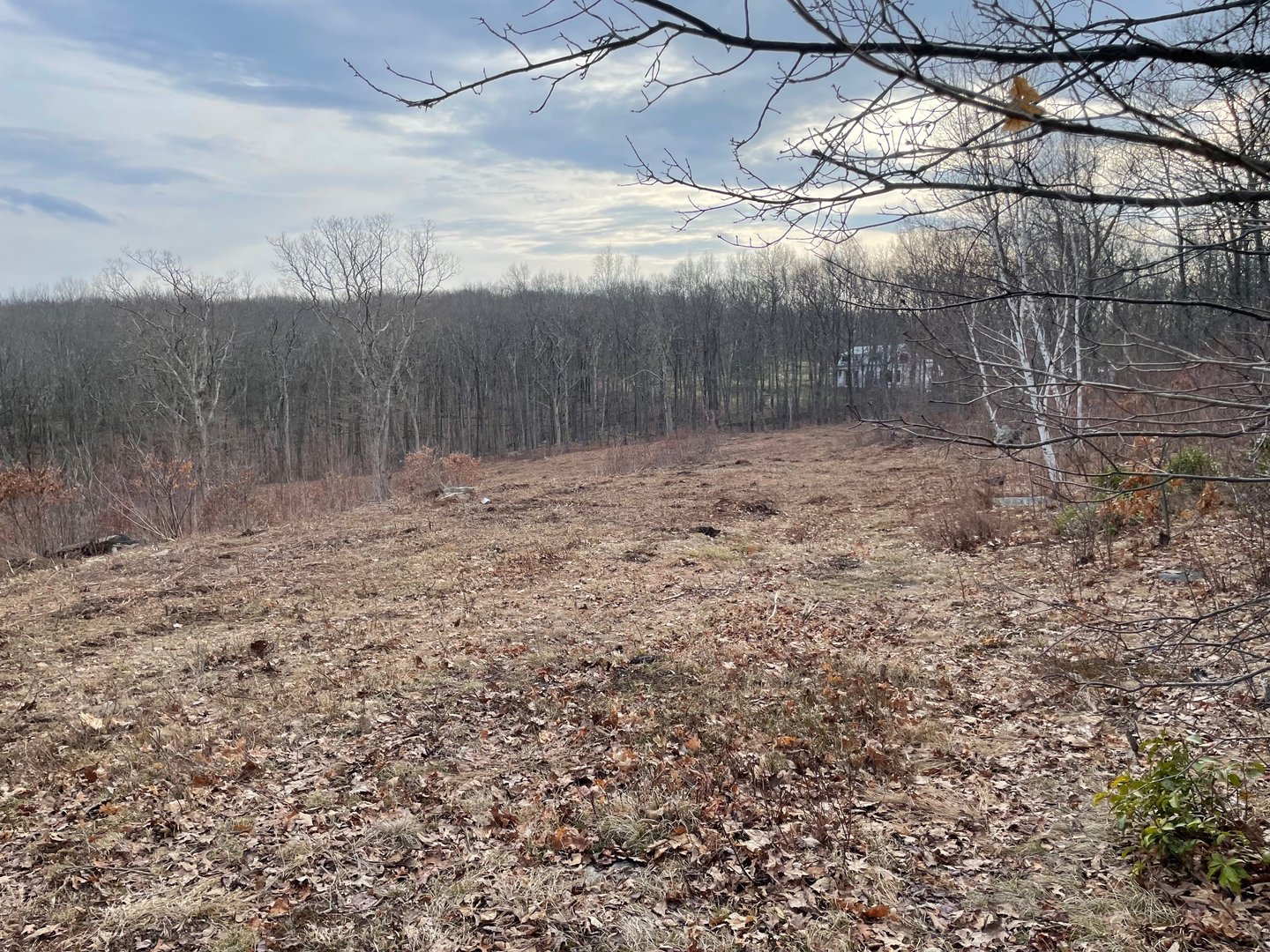 197 Tinker Hill Road Photo 21