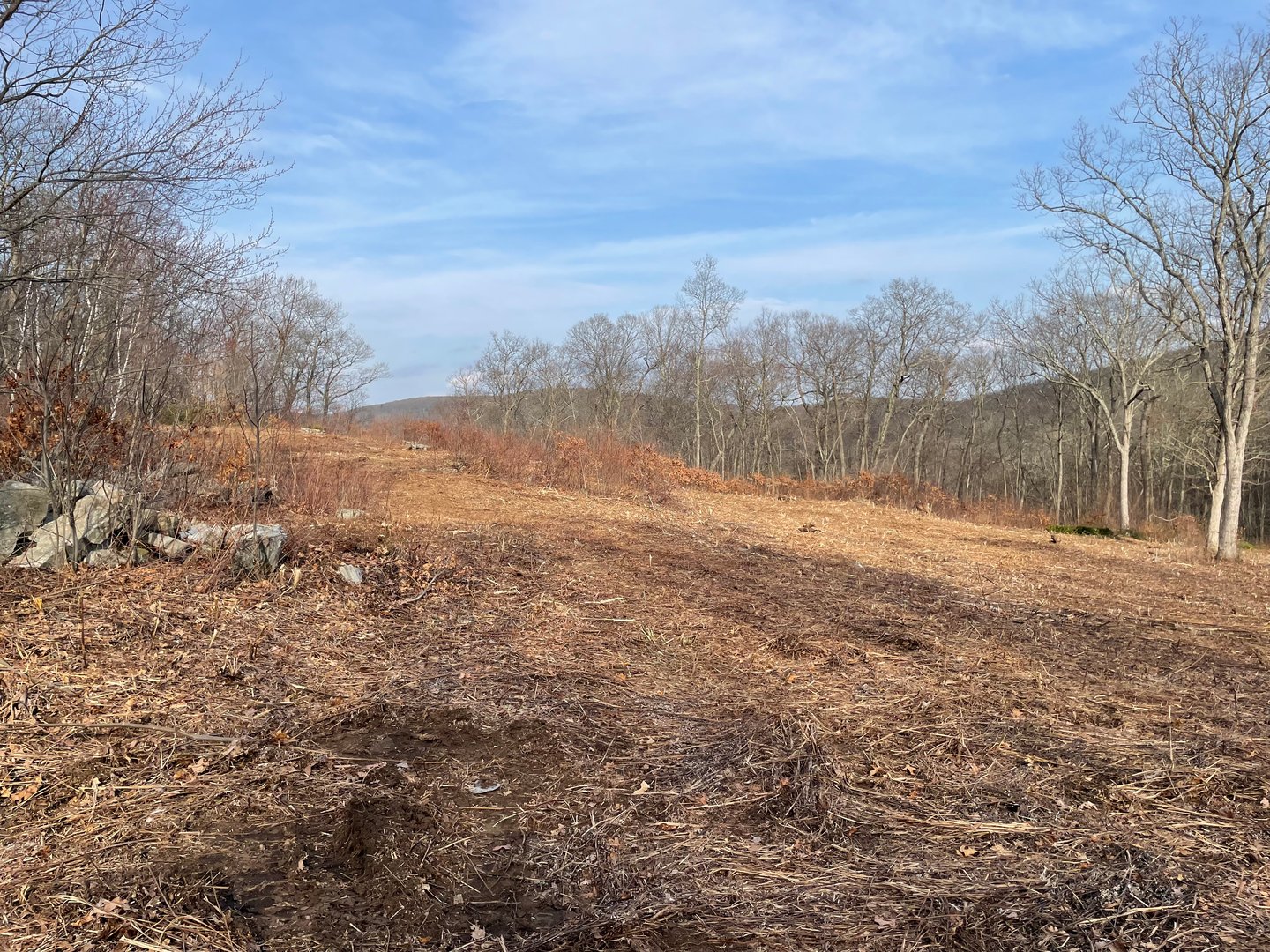 197 Tinker Hill Road Photo 25