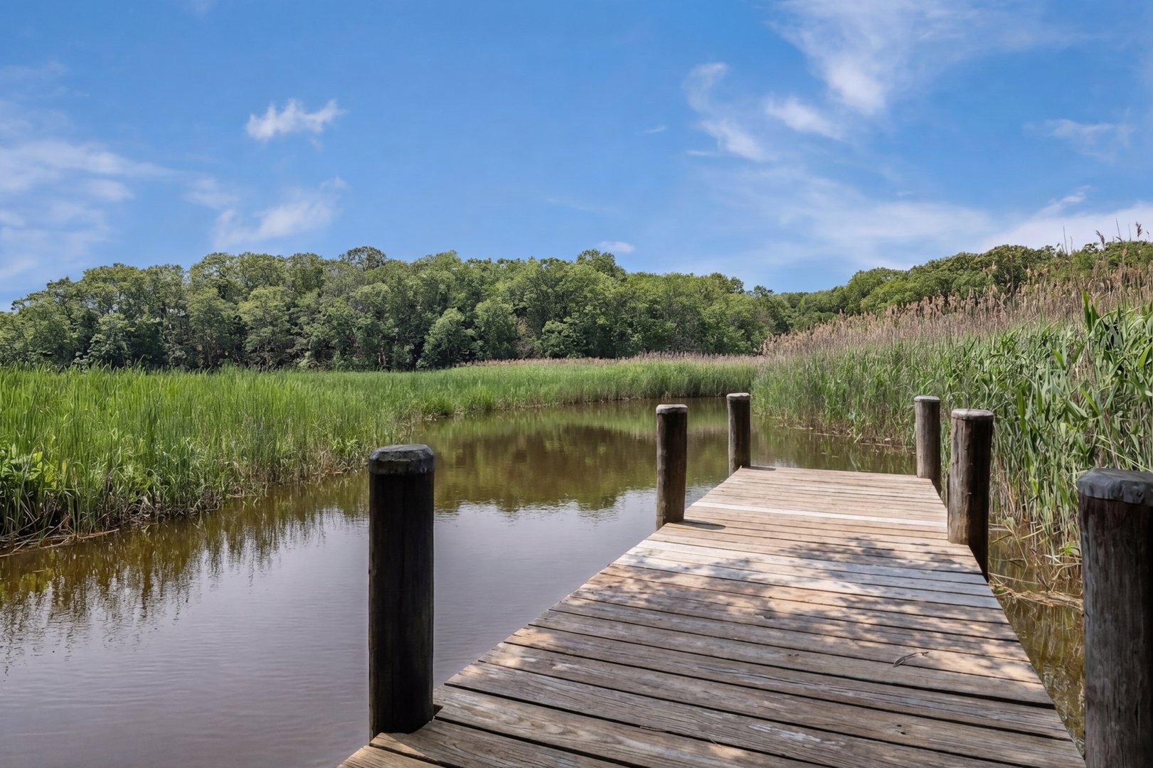 41 Watrous Point Road Photo 7