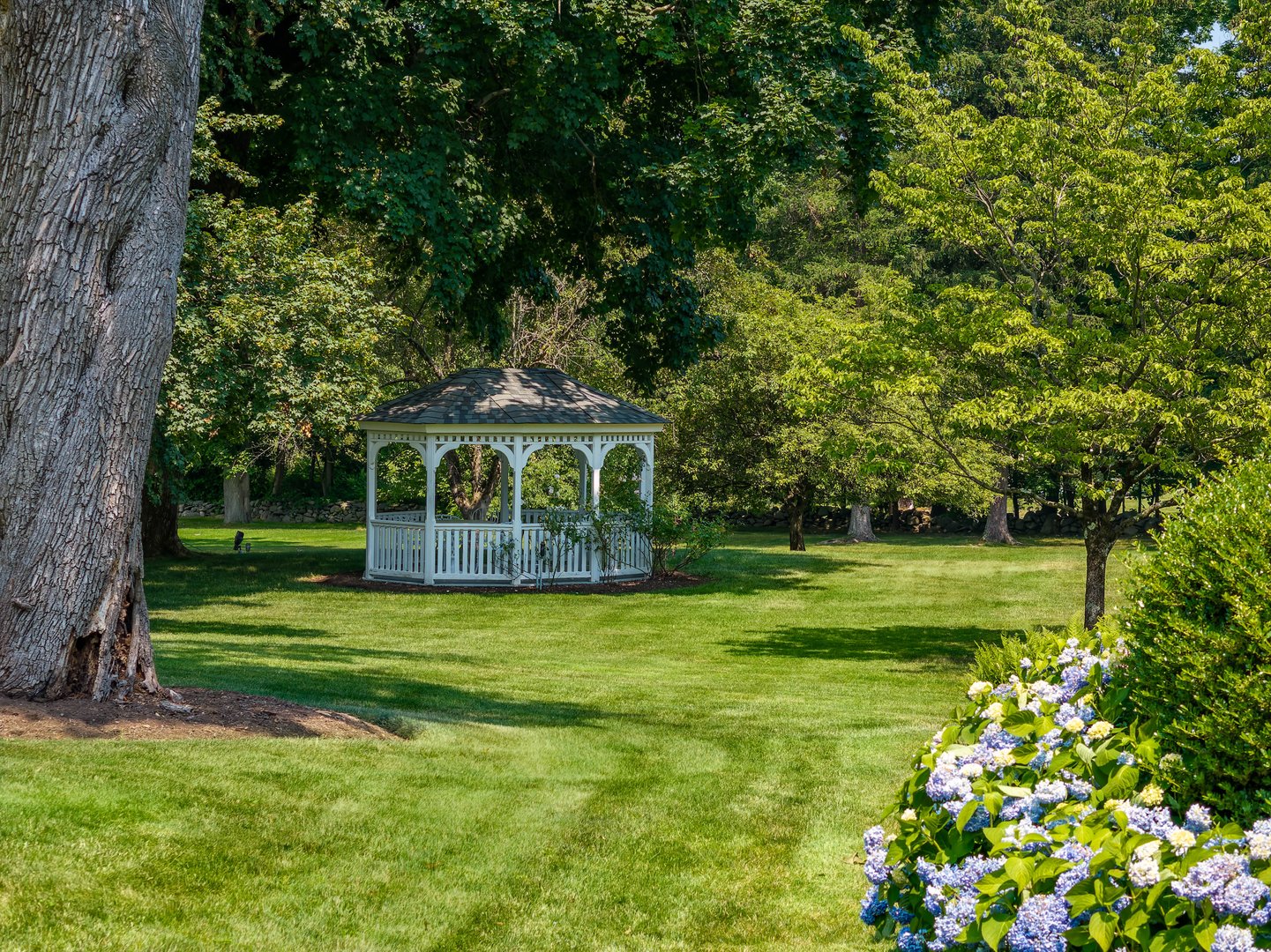 1619 Purchase Street Photo 32