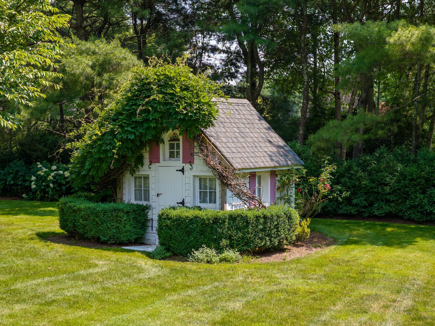 1619 Purchase Street Photo 33