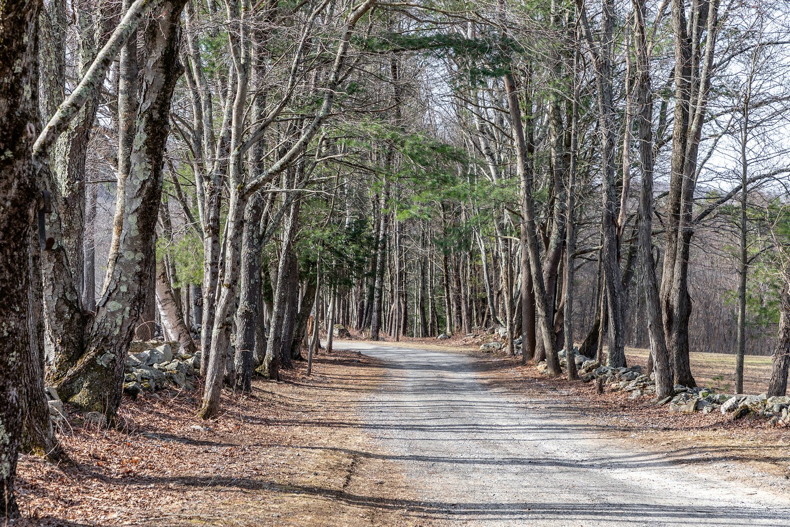 19 Hollenbeck Road Photo 5