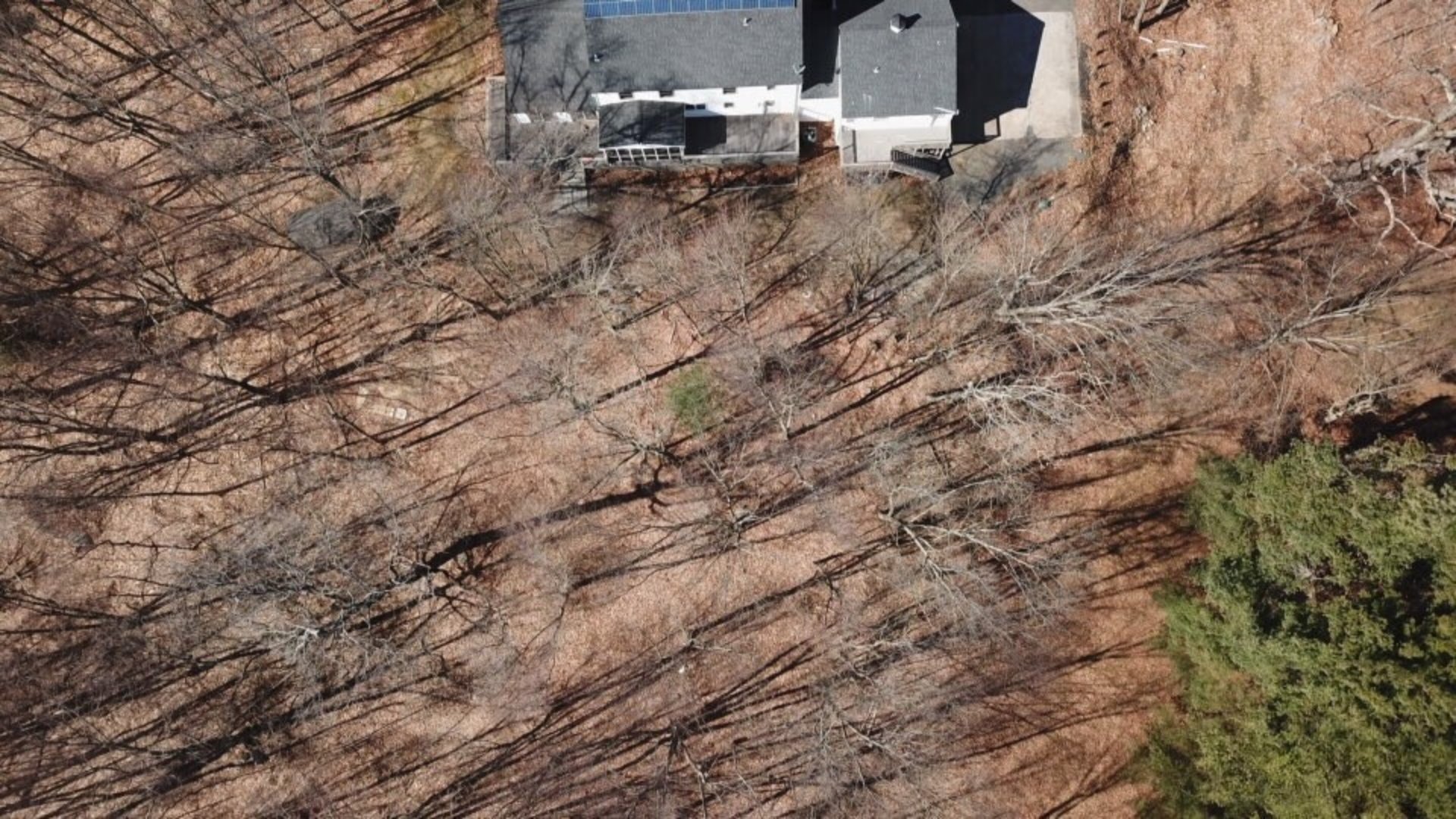 24 Hickory Lane Photo 27