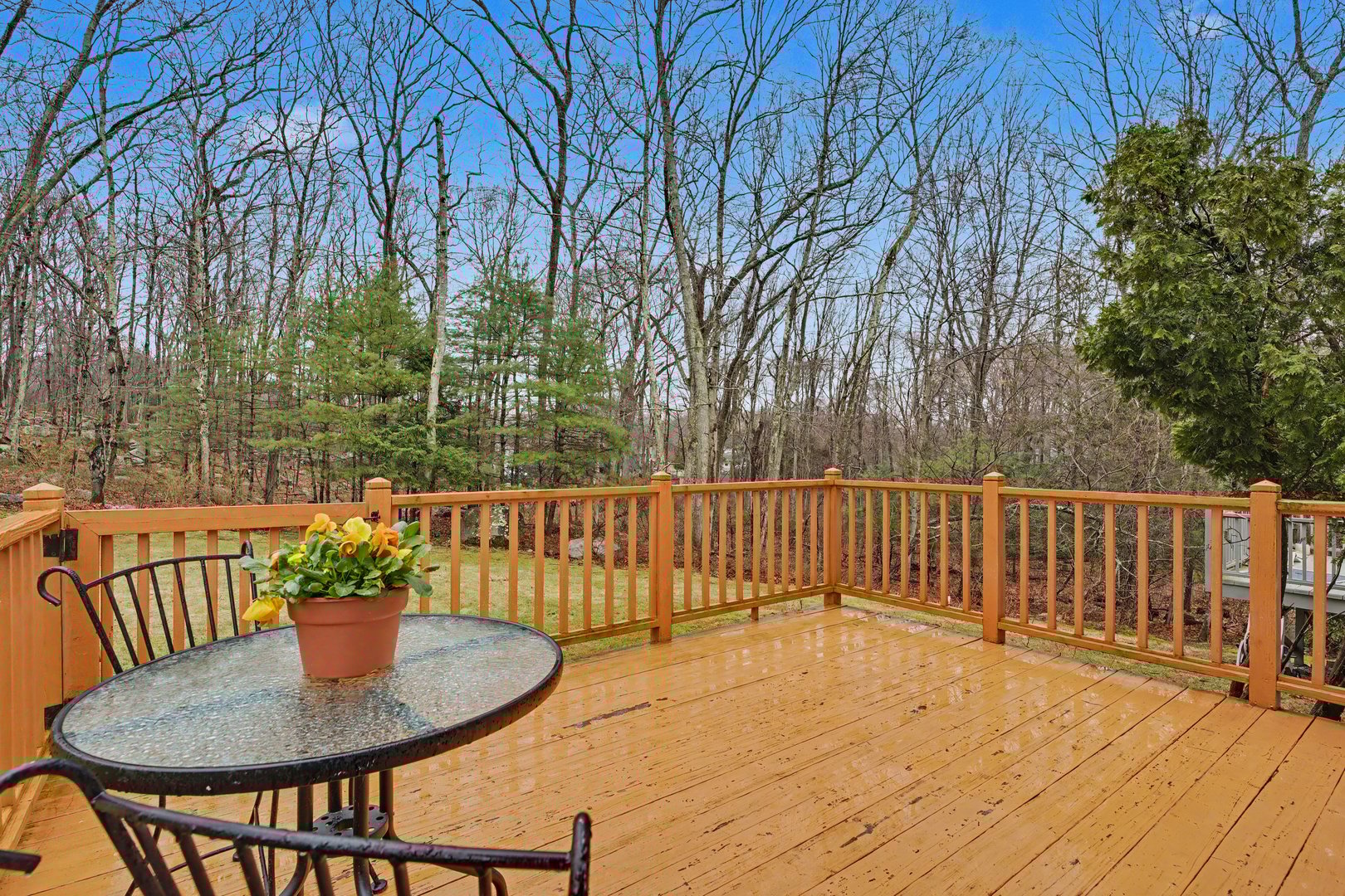 11 Windy Ridge Place #11 Photo 3