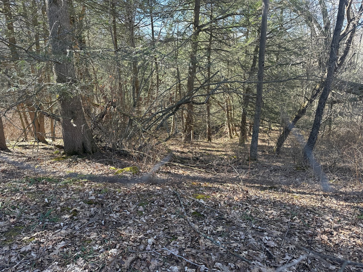 0 Newcomb Road Photo 2