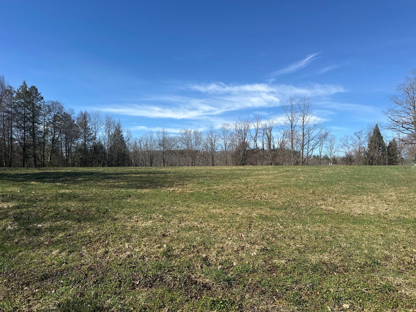 0 Newcomb Road Photo 4