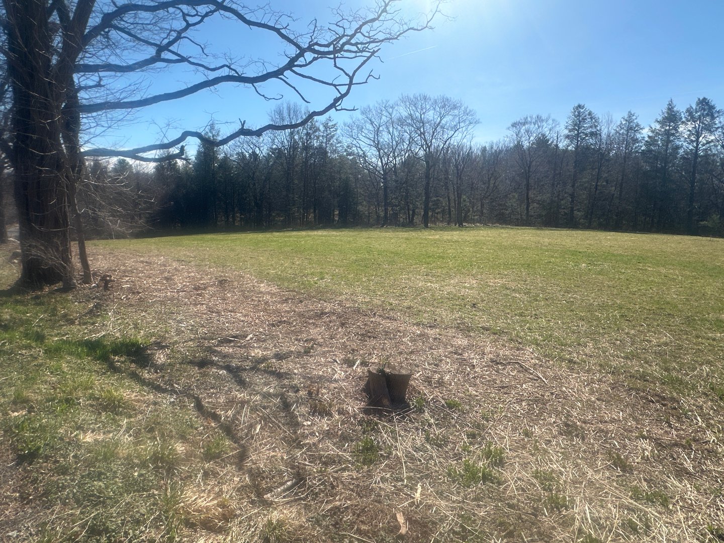 0 Newcomb Road Photo 5