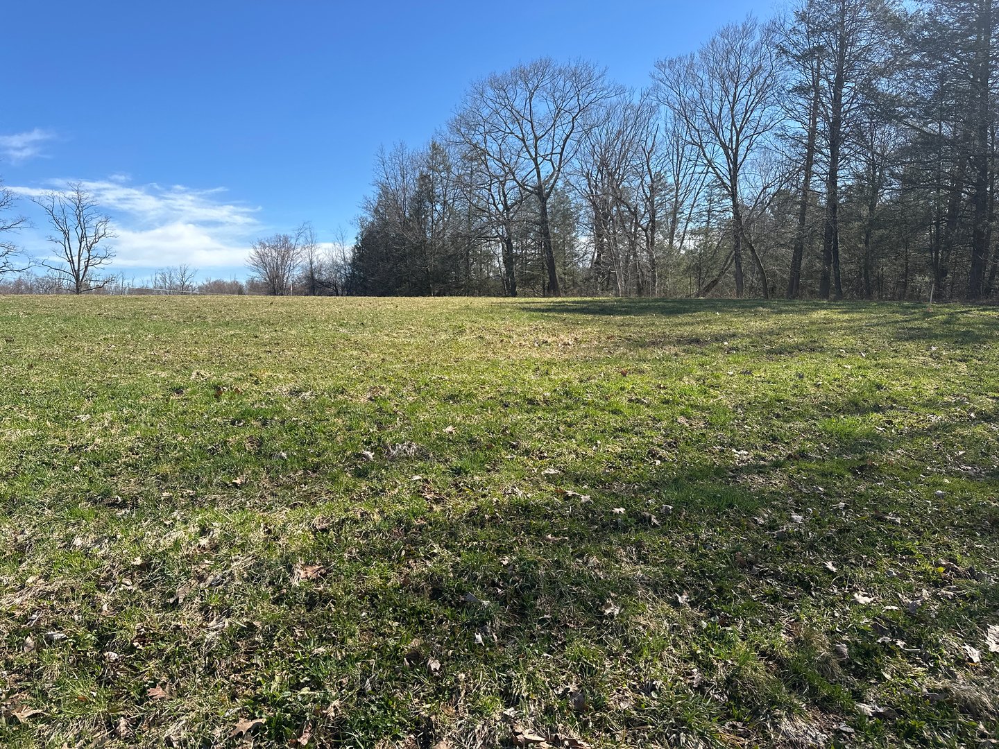 0 Newcomb Road Photo 6