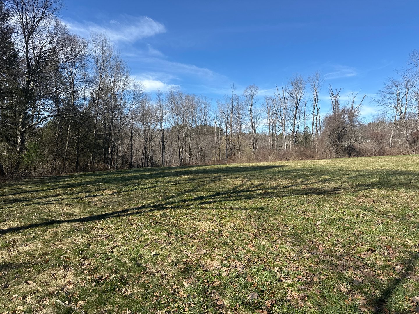 0 Newcomb Road Photo 7