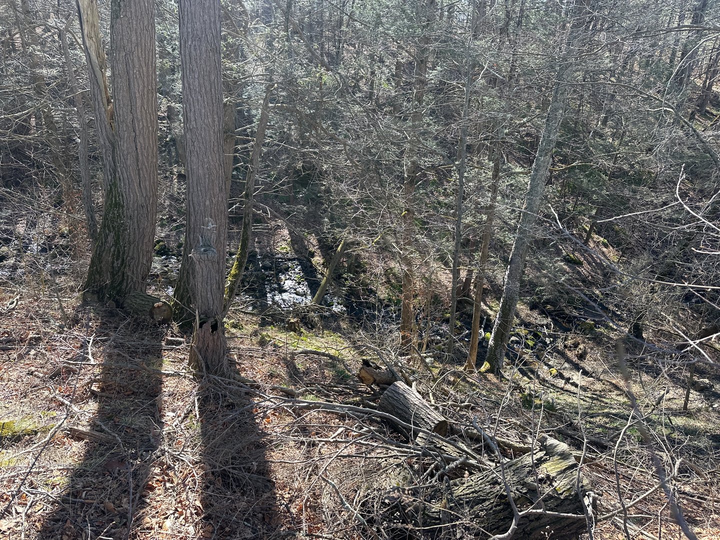 0 Newcomb Road Photo 8