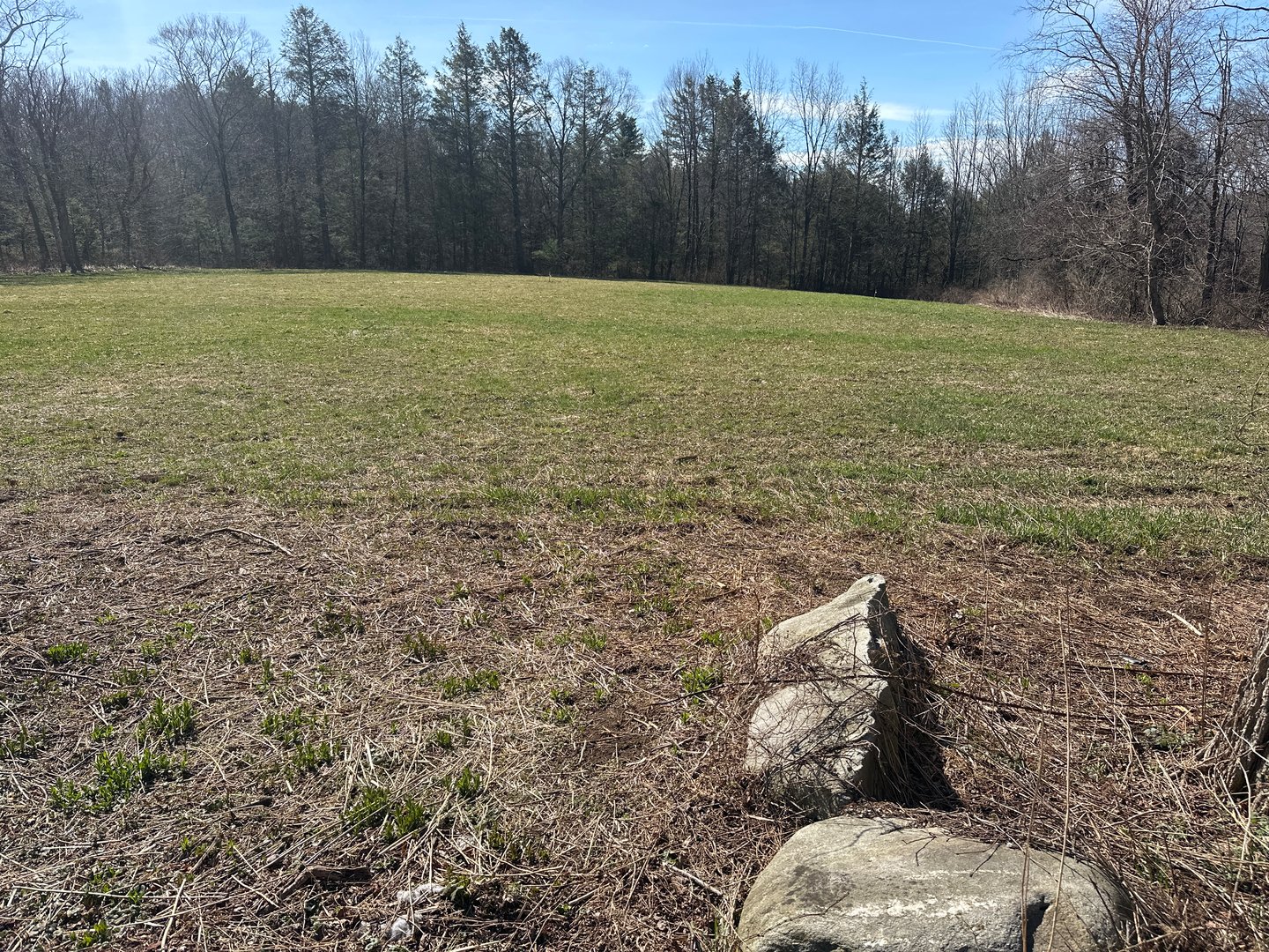 0 Newcomb Road Photo 10