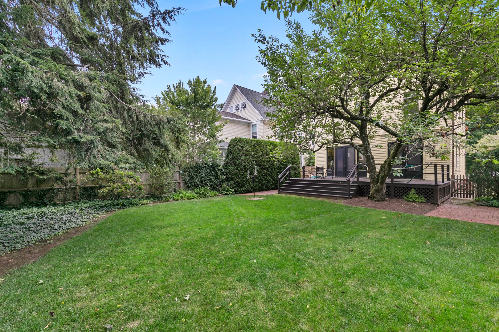 266 Everit Street Photo 19