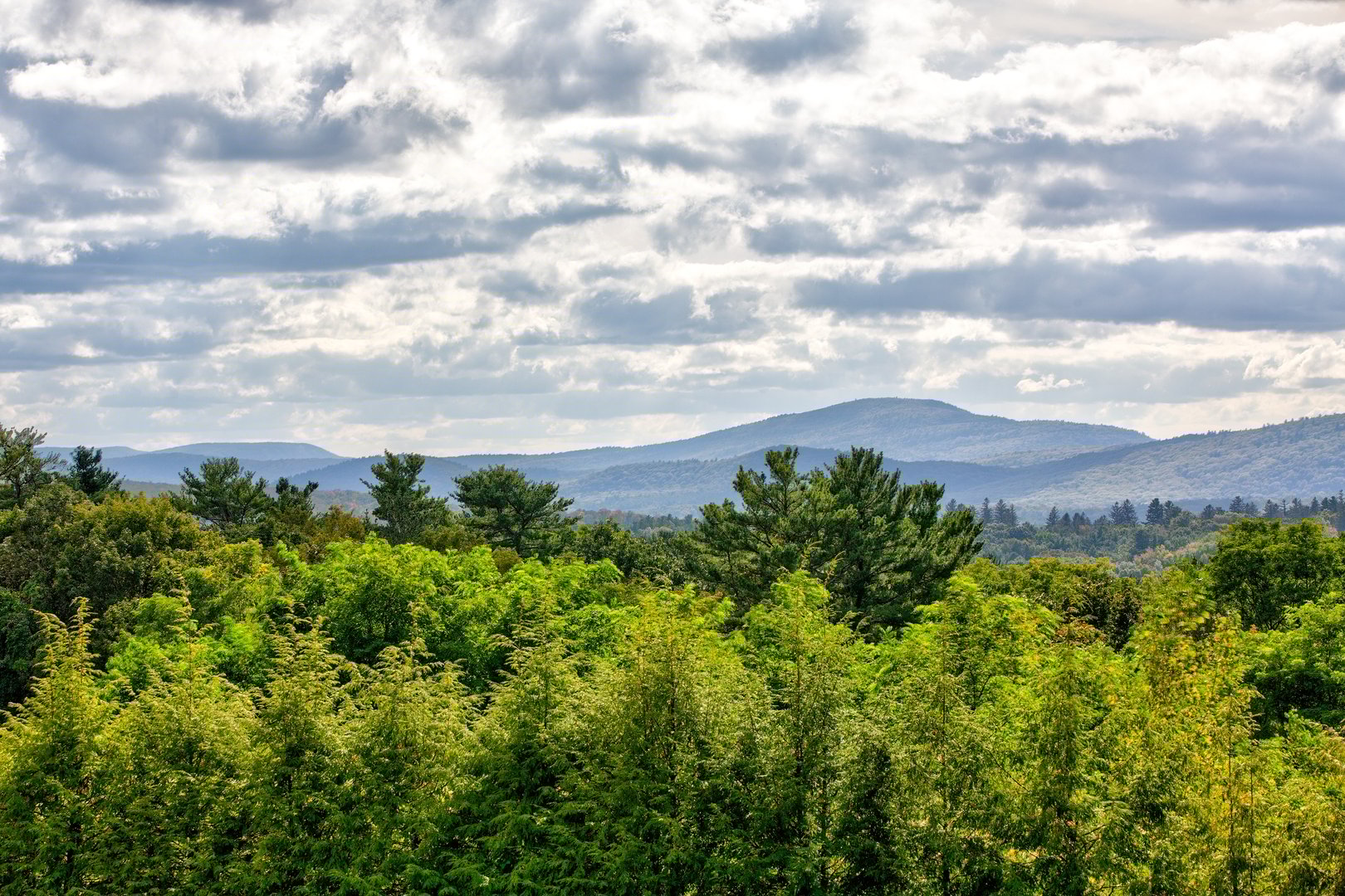 2 Kemble St Photo 15