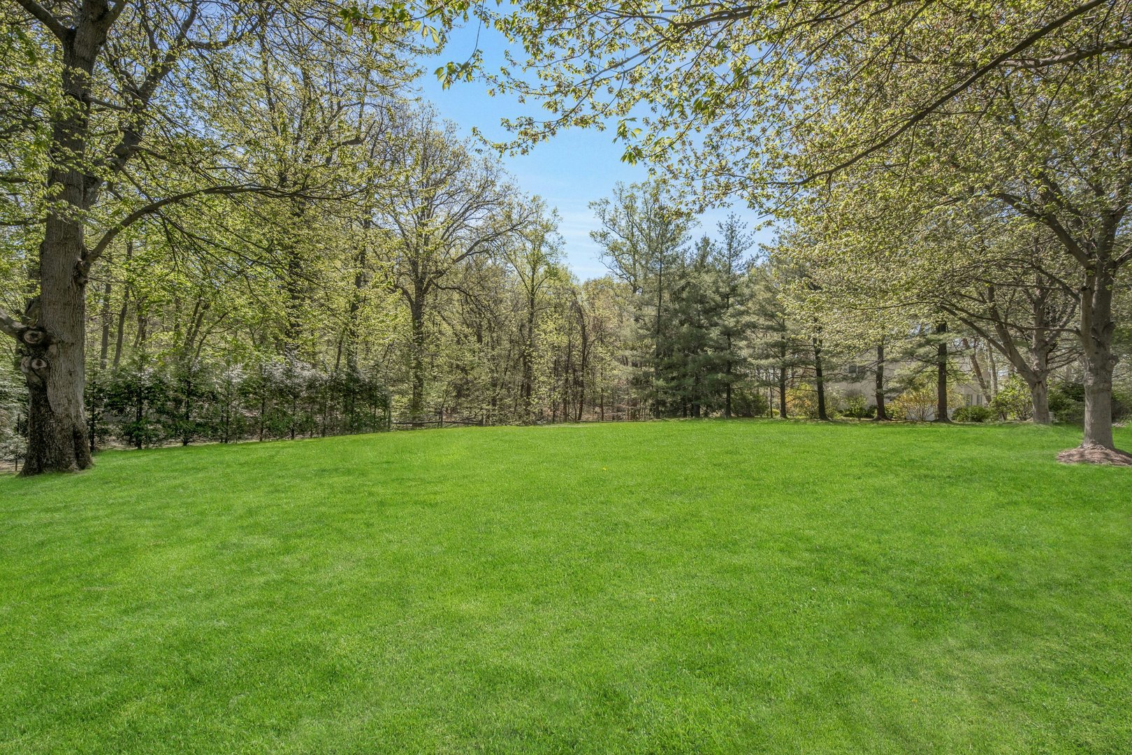 132-134 Euclid Avenue Photo 5