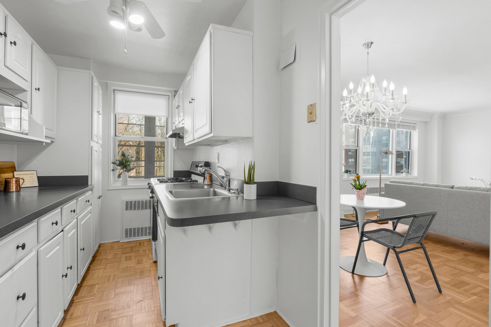 3 Washington Square  #4D Photo 13