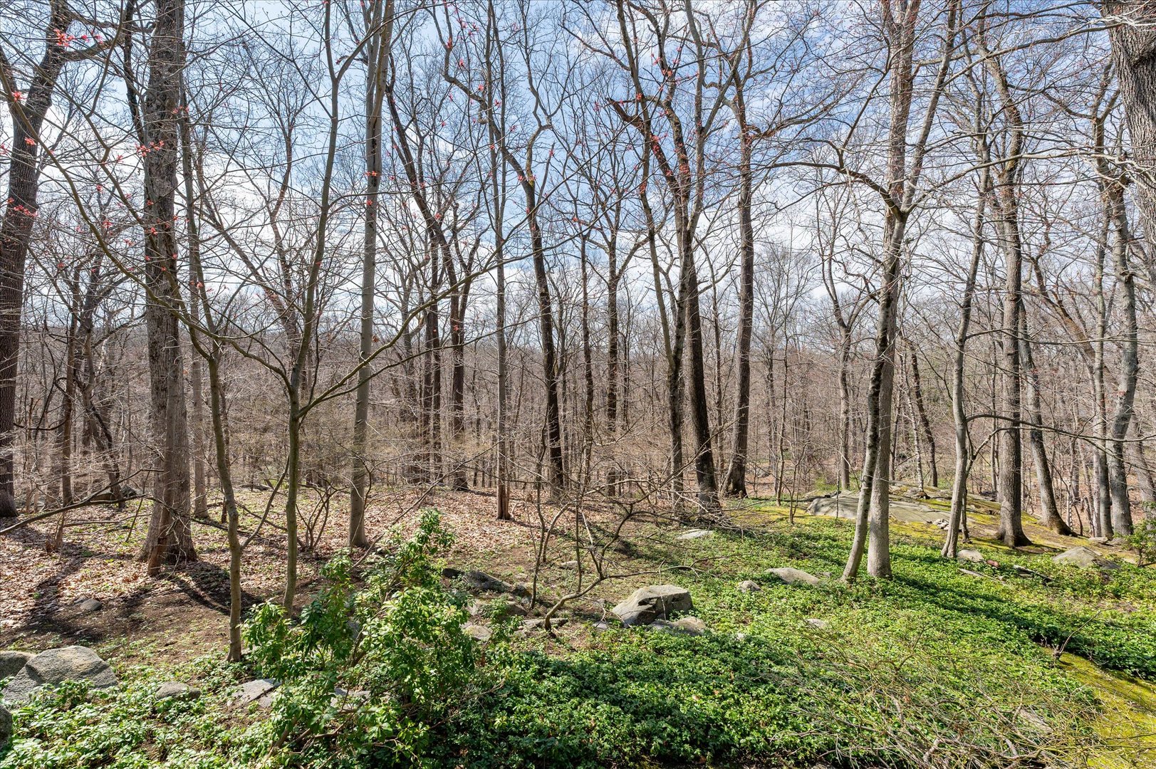 171 Highline Trail Photo 6