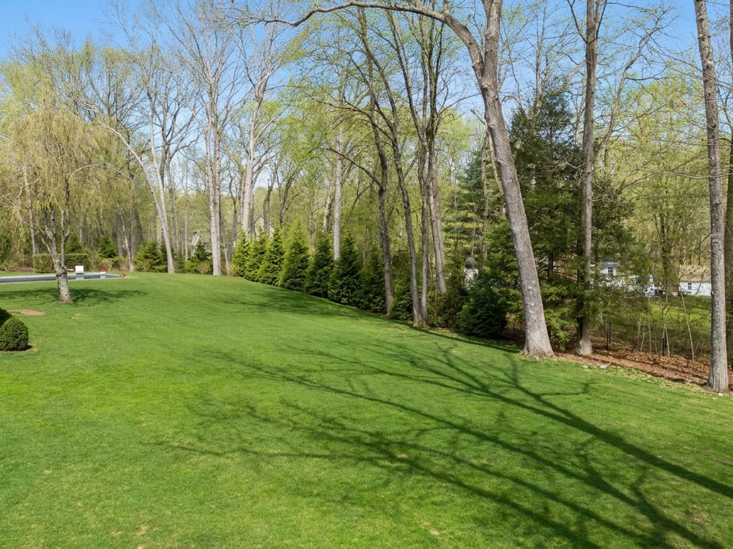 9 Matson Ridge Photo 7