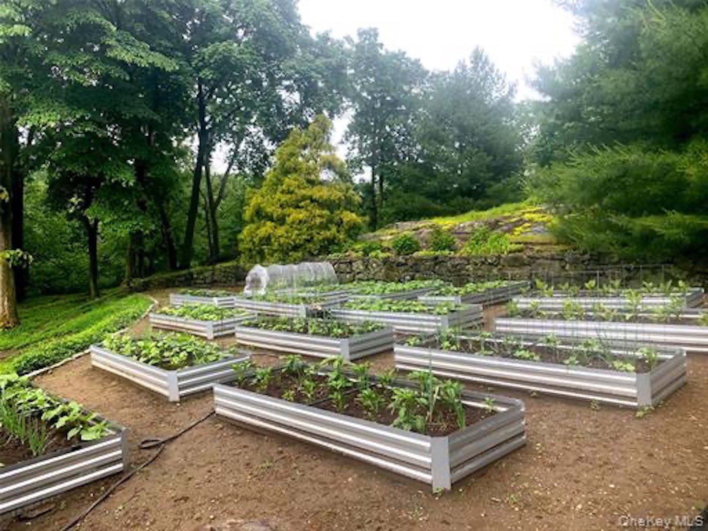 333 W Hartsdale Avenue Photo 40