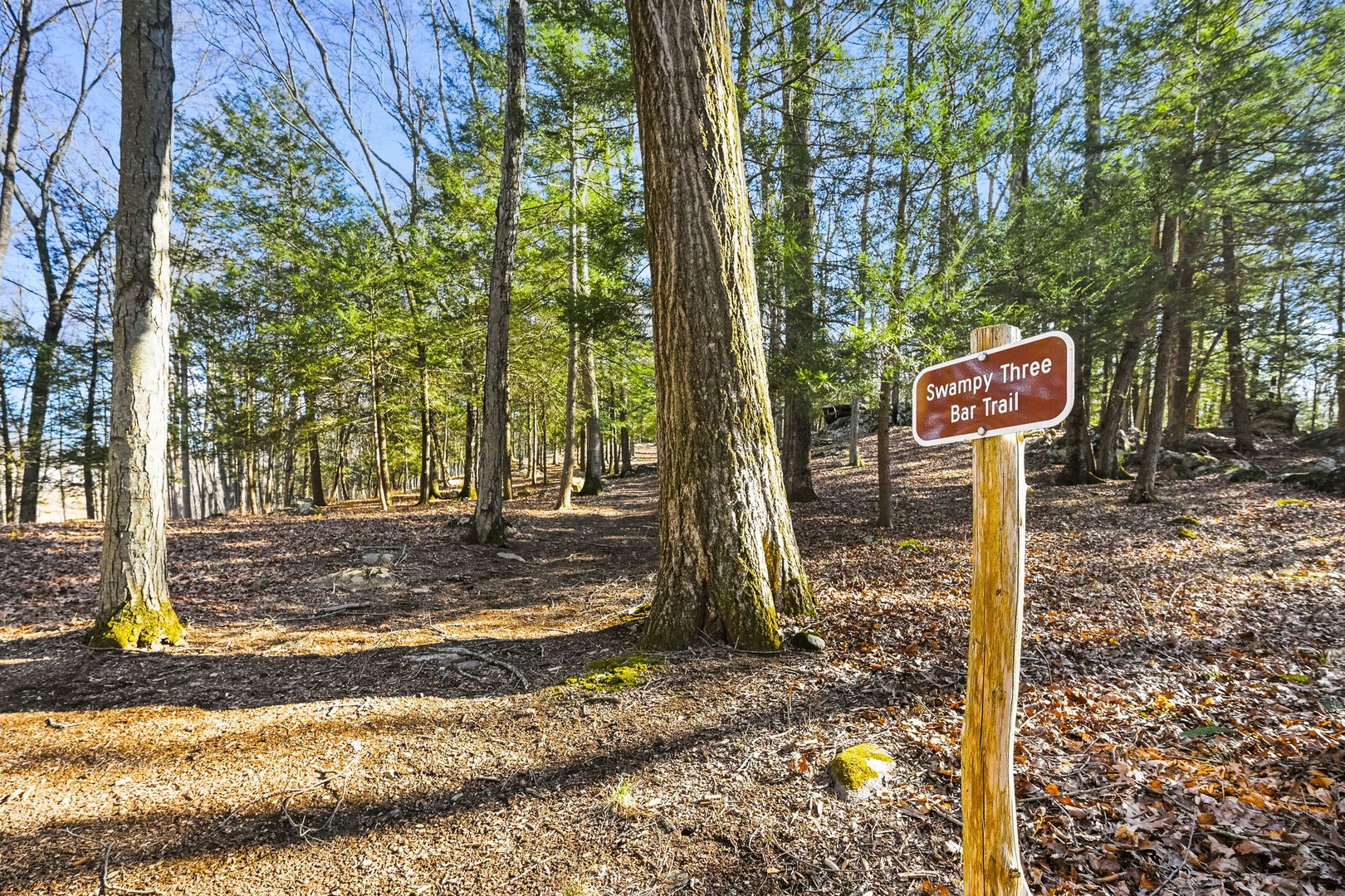 155 Long Ridge Road Photo 37