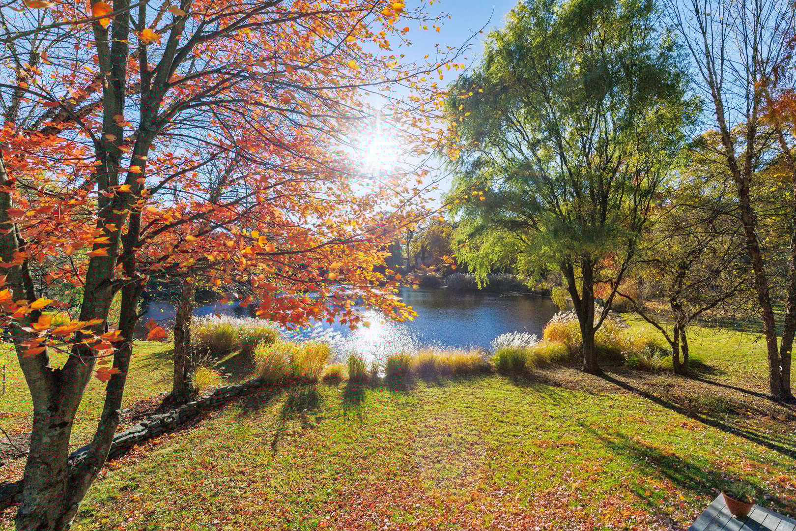 51 Whitetail Road Photo 26