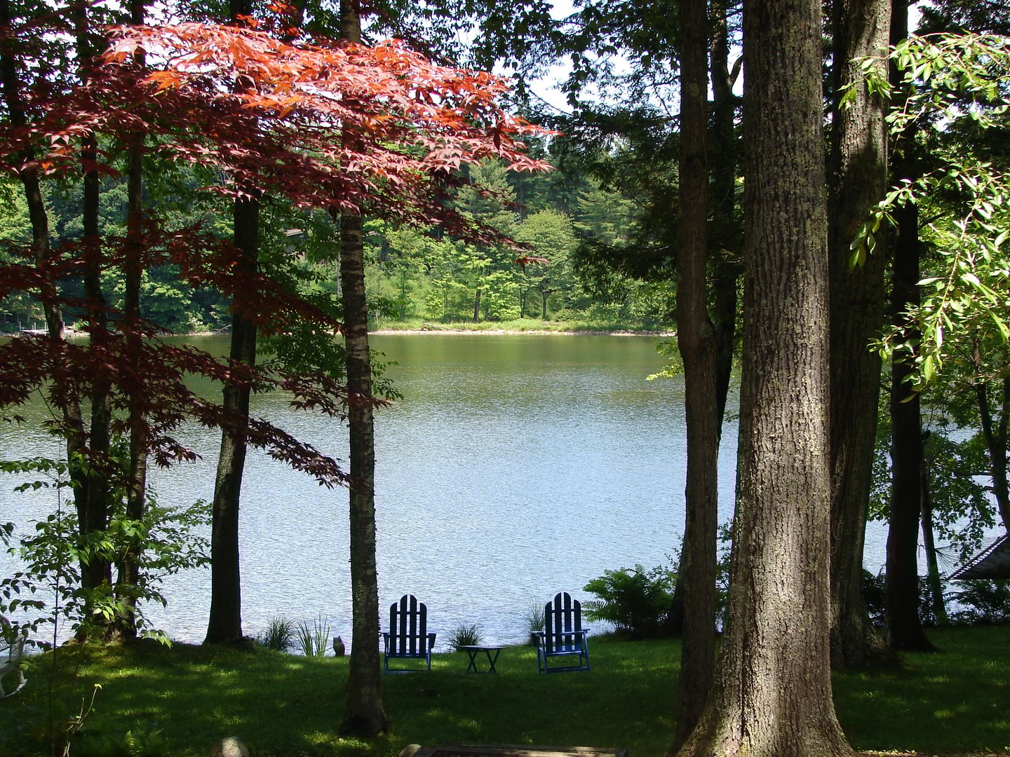 Lot 5 Milton Road Photo 7