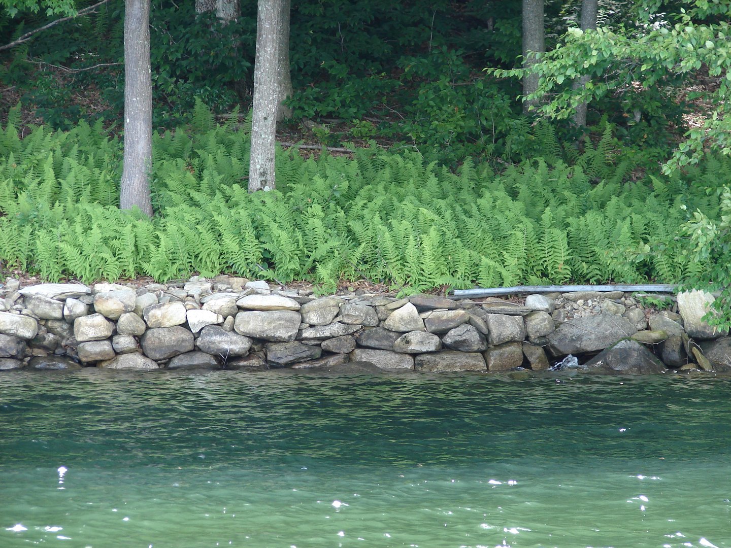 Lot 5 Milton Road Photo 11