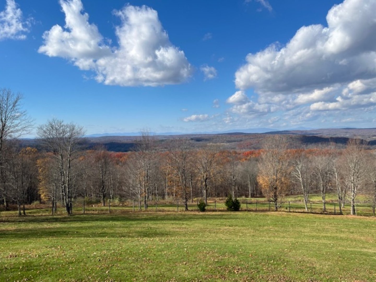 1135 Duell Road Photo 3