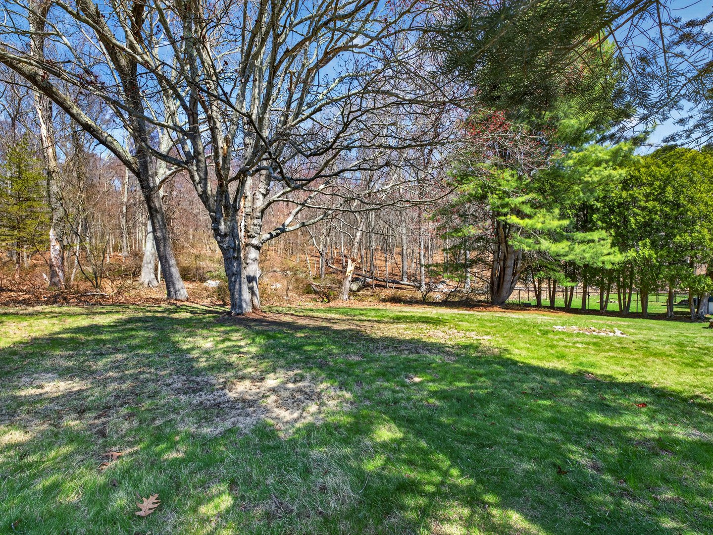 34 Riched Lane Photo 35