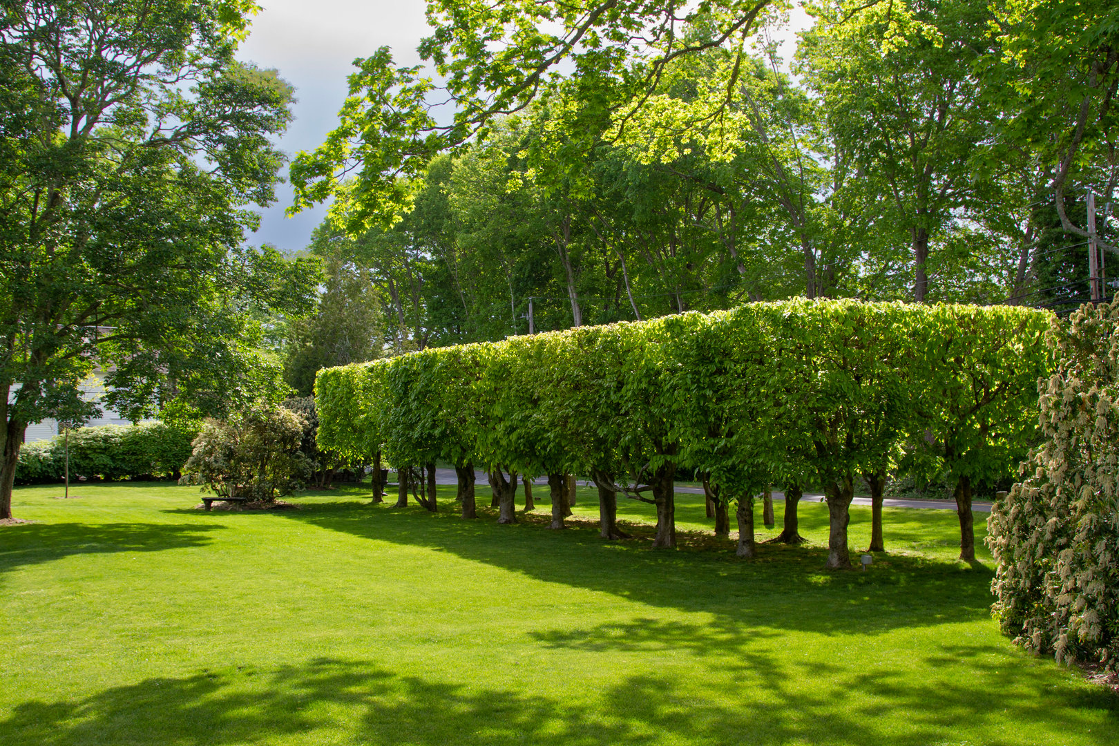 35 Sill Lane Photo 31