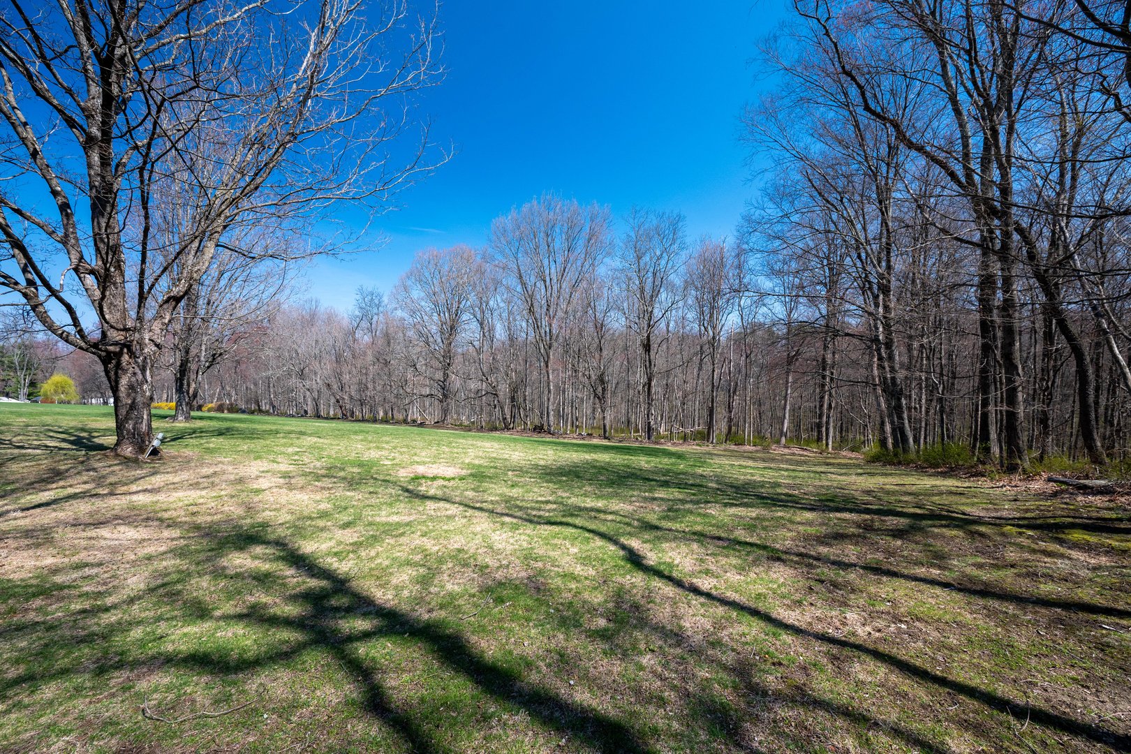 46 High Ridge Road Photo 3