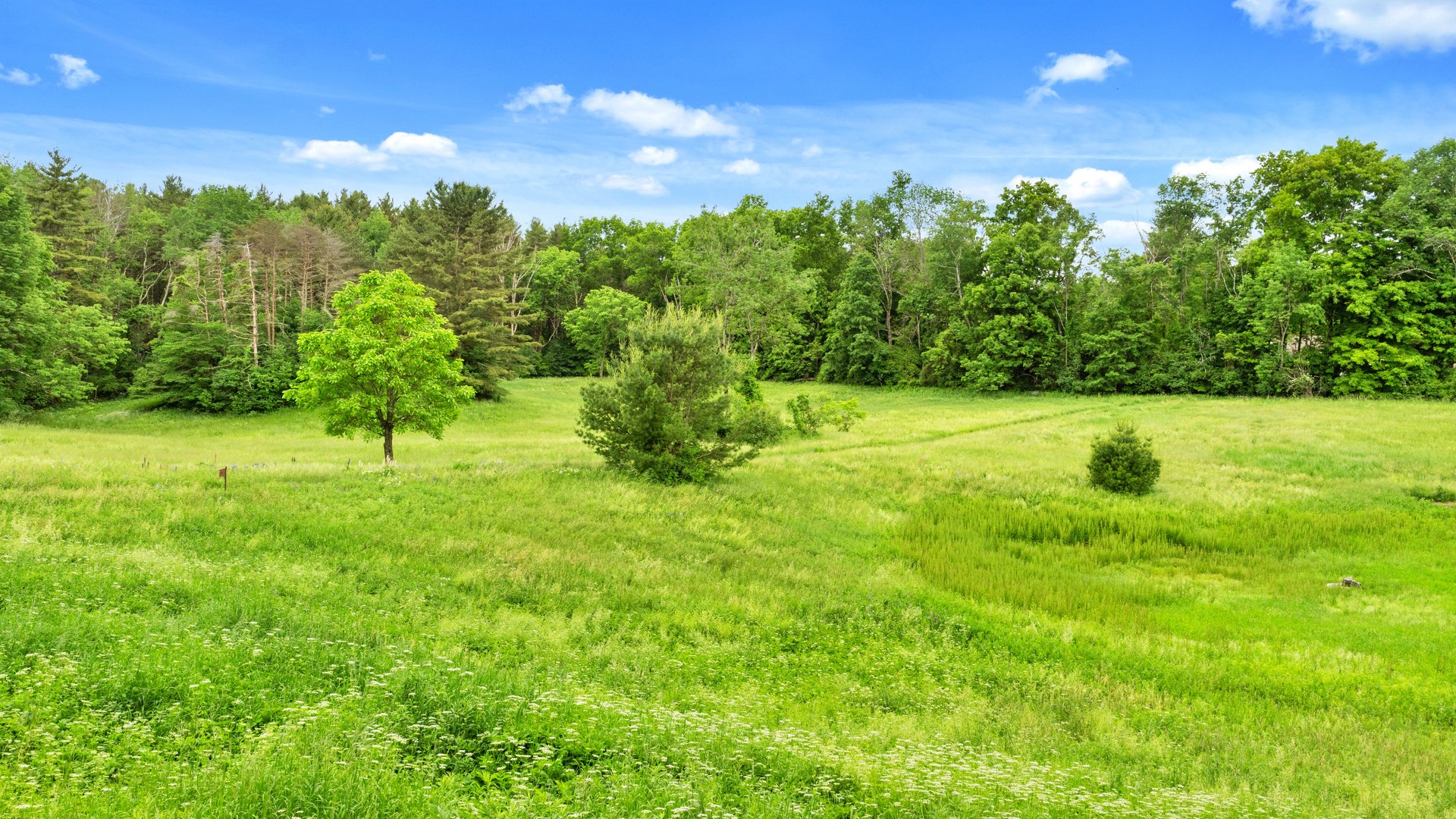 2507 State Rd Photo 30